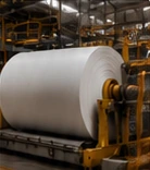 Pulp & Paper industrial infrastructure